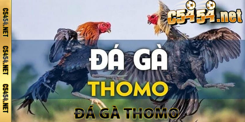 Đá Gà Thomo